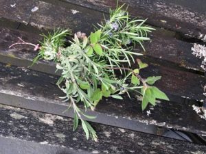 Garden Herbs